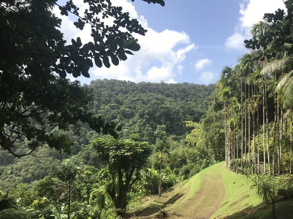 Jardin de Balata & Atlantic Plantations. A road trip in Northern Martinique