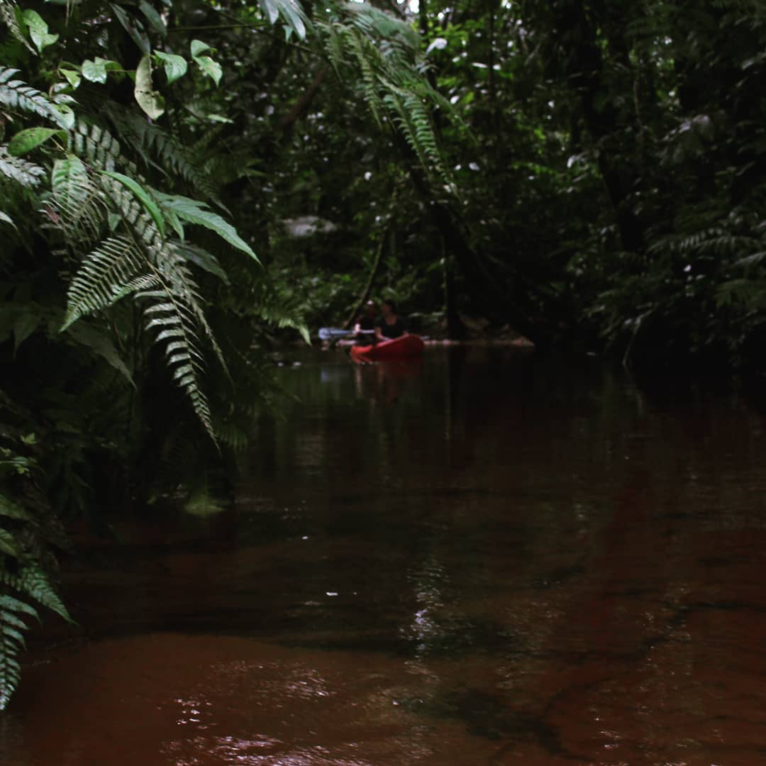 A day in Leticia | The Colombian Amazon