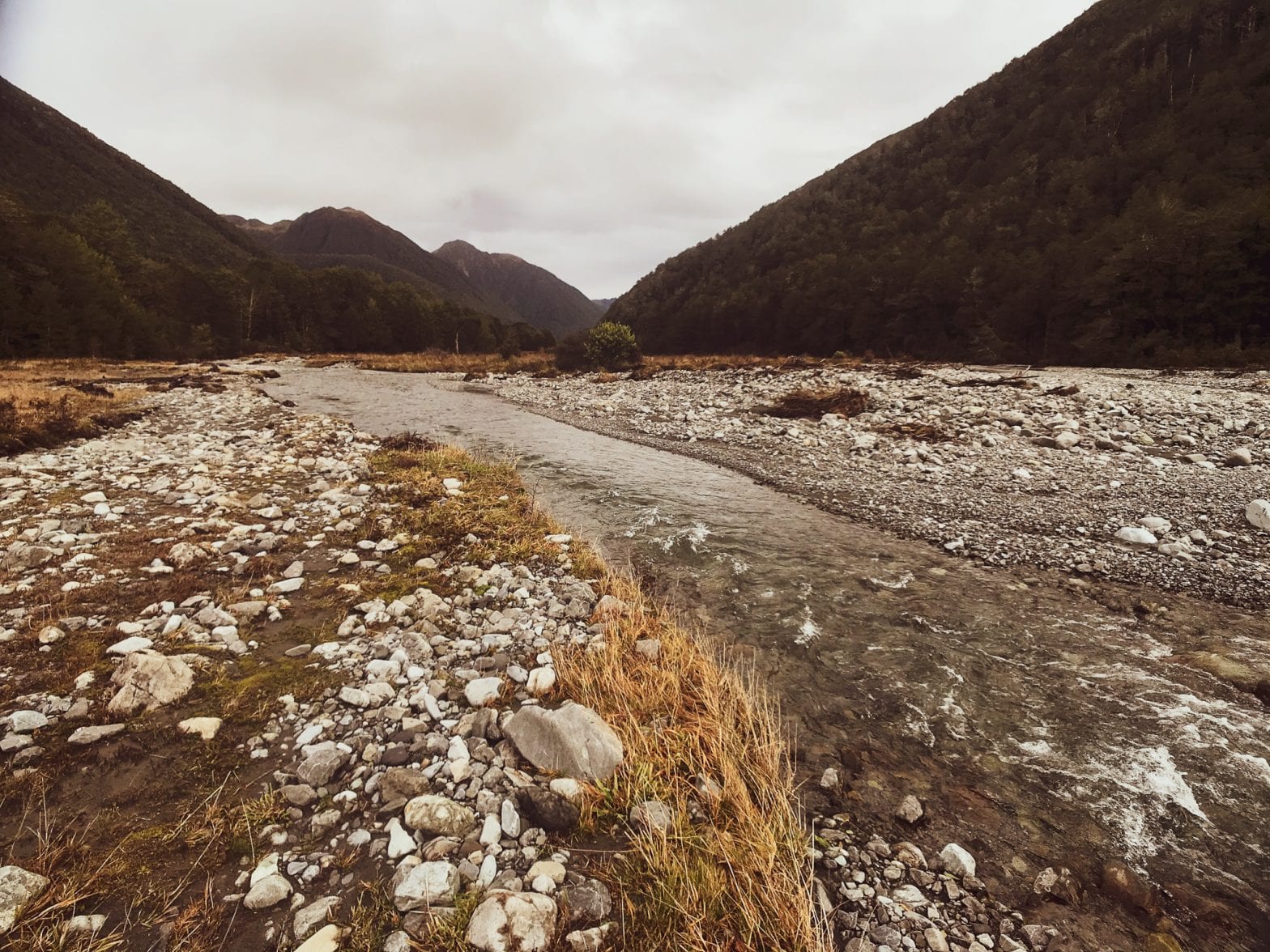 New Zealand Wilderness: Exploring Lewis Pass & The Maruia Valley